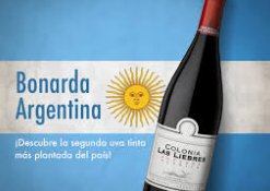 Bonarda vino argentino