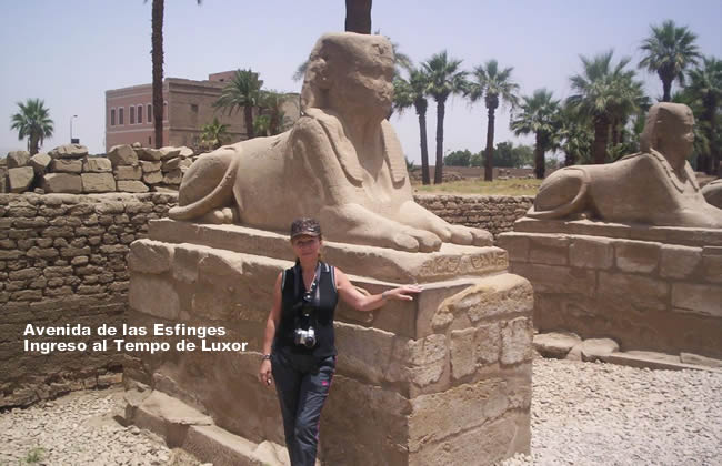 avenida de las esfinges en Luxor
